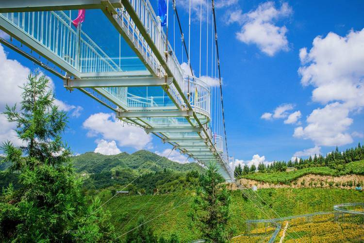 春天重庆区县景点,重庆网红景点区县