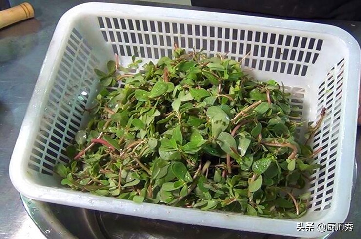 新鲜马齿苋蒸菜团怎么做,马齿苋菜怎么蒸着吃好吃呢