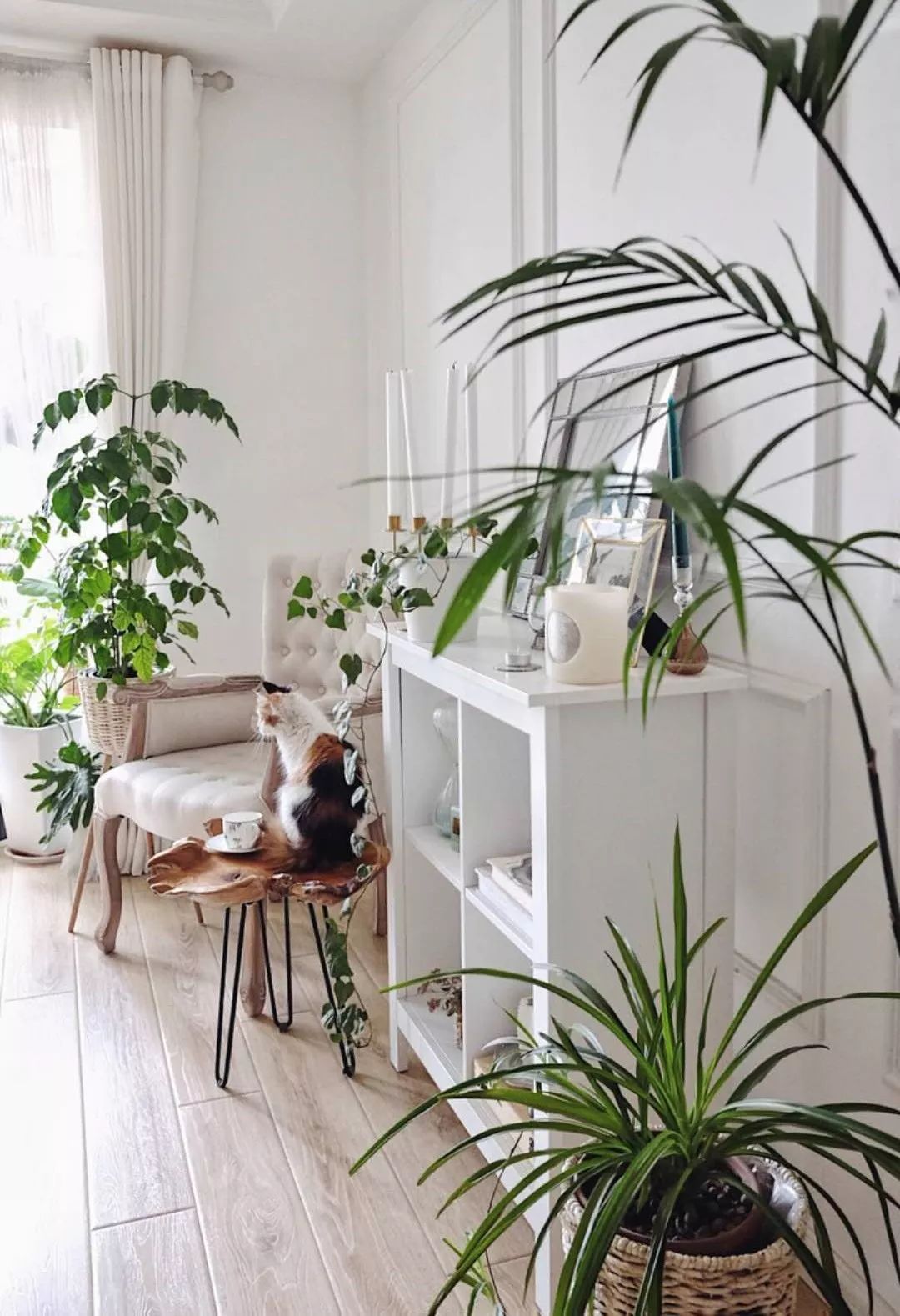 小夫妻98㎡家意外走红!登北京地铁广告,这个家才是都市里的奢侈