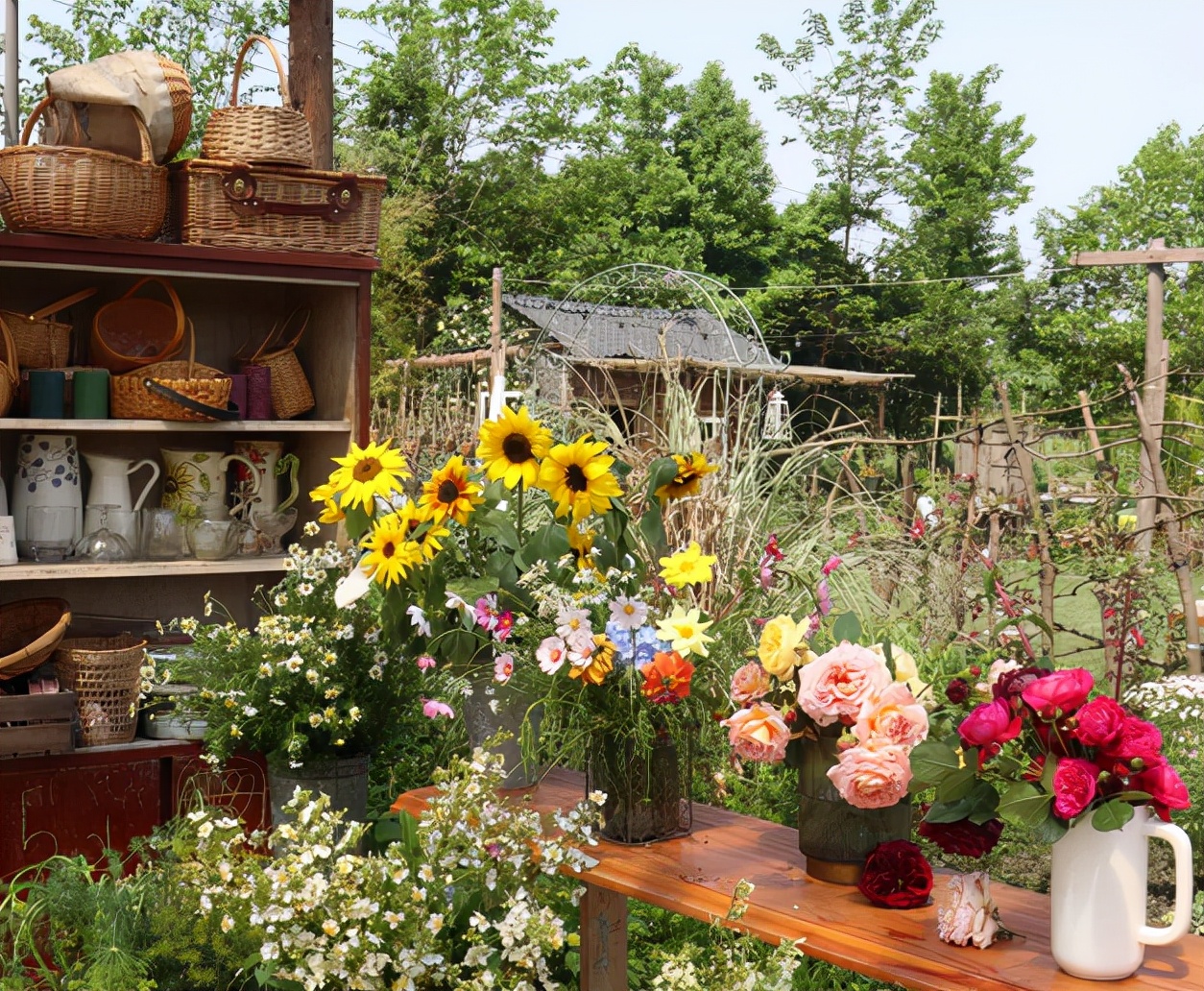 农场盈利新模式,投资万亩农场真实案例