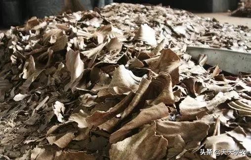 花生麸肥的正确使用,花生麸肥能用多久