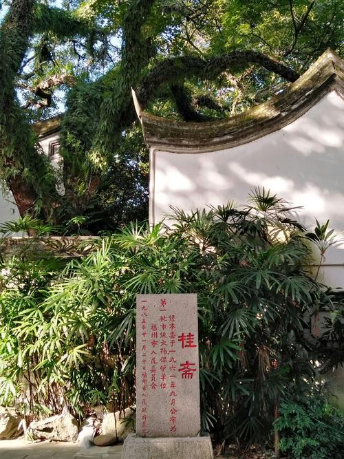 让龙涎“不敢香”的桂花,是秋日的人间值得