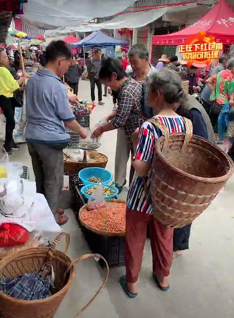 磨叽哥直播,磨叽哥