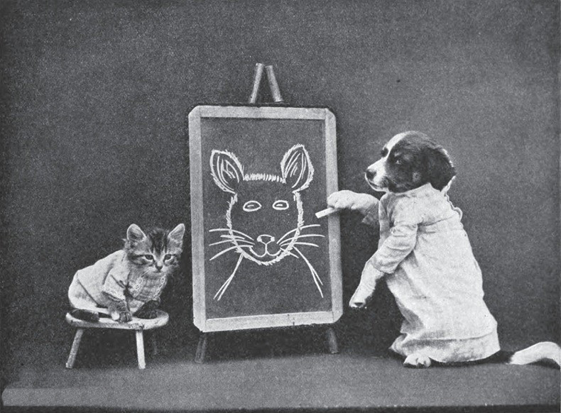 灏忕嫍灏忕尗鍖栬韩浜虹被,灏忕尗灏忕嫍鐢诲