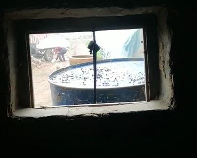 邻里矛盾担心被投毒,邻里小事引发吵架邻居事后死亡