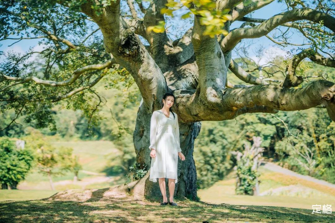 深圳周末打卡地点排行榜,深圳秋季打卡攻略