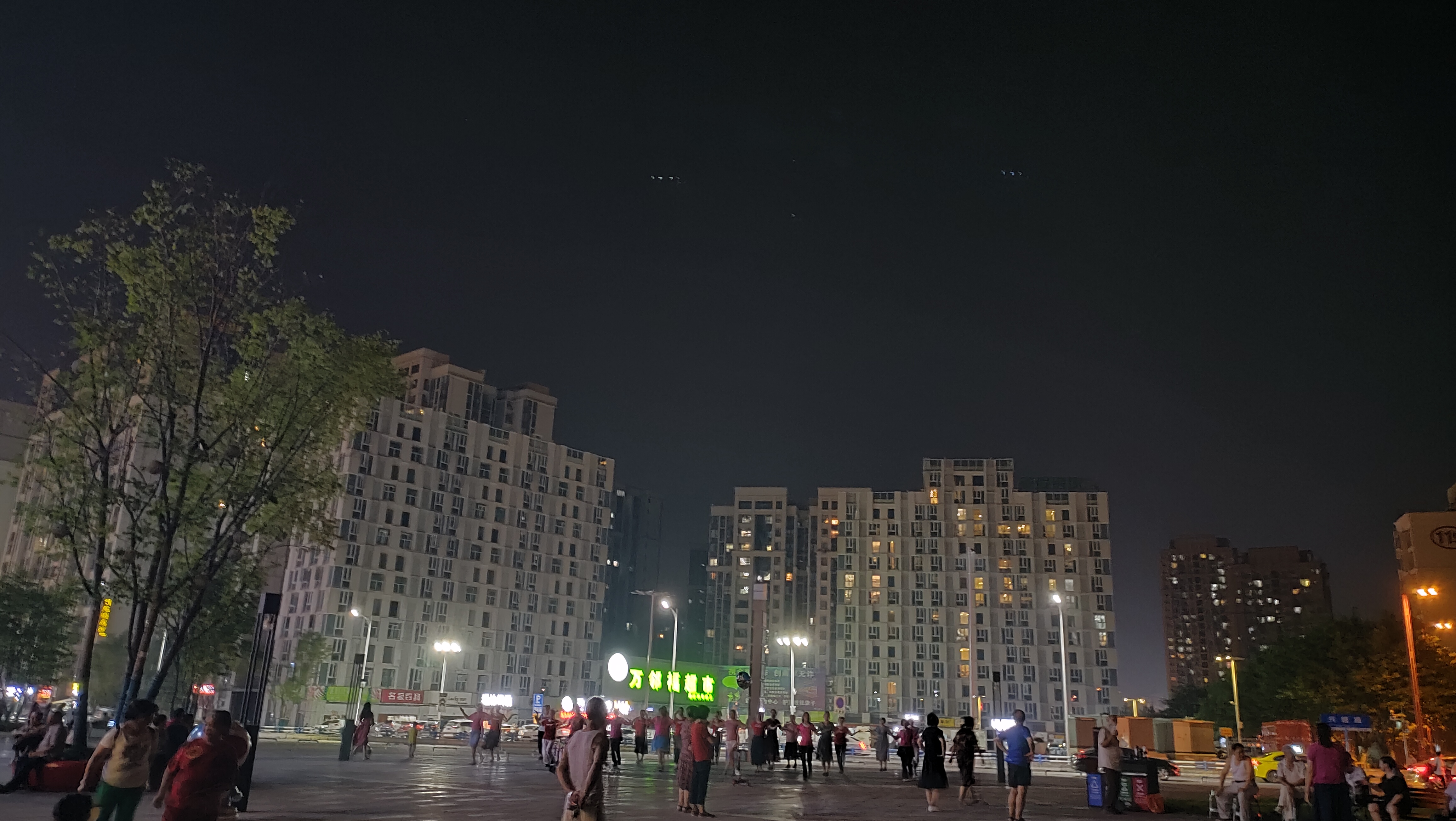 酉阳宜居茶园,重庆宜居茶园