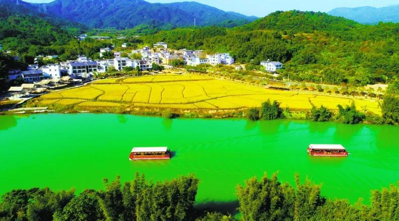 楂樻牎瀛︾敓鐪间腑鐨勫叡闈掑洟,楂樻牎鐢熺溂涓殑鏃朵唬鍙樿縼