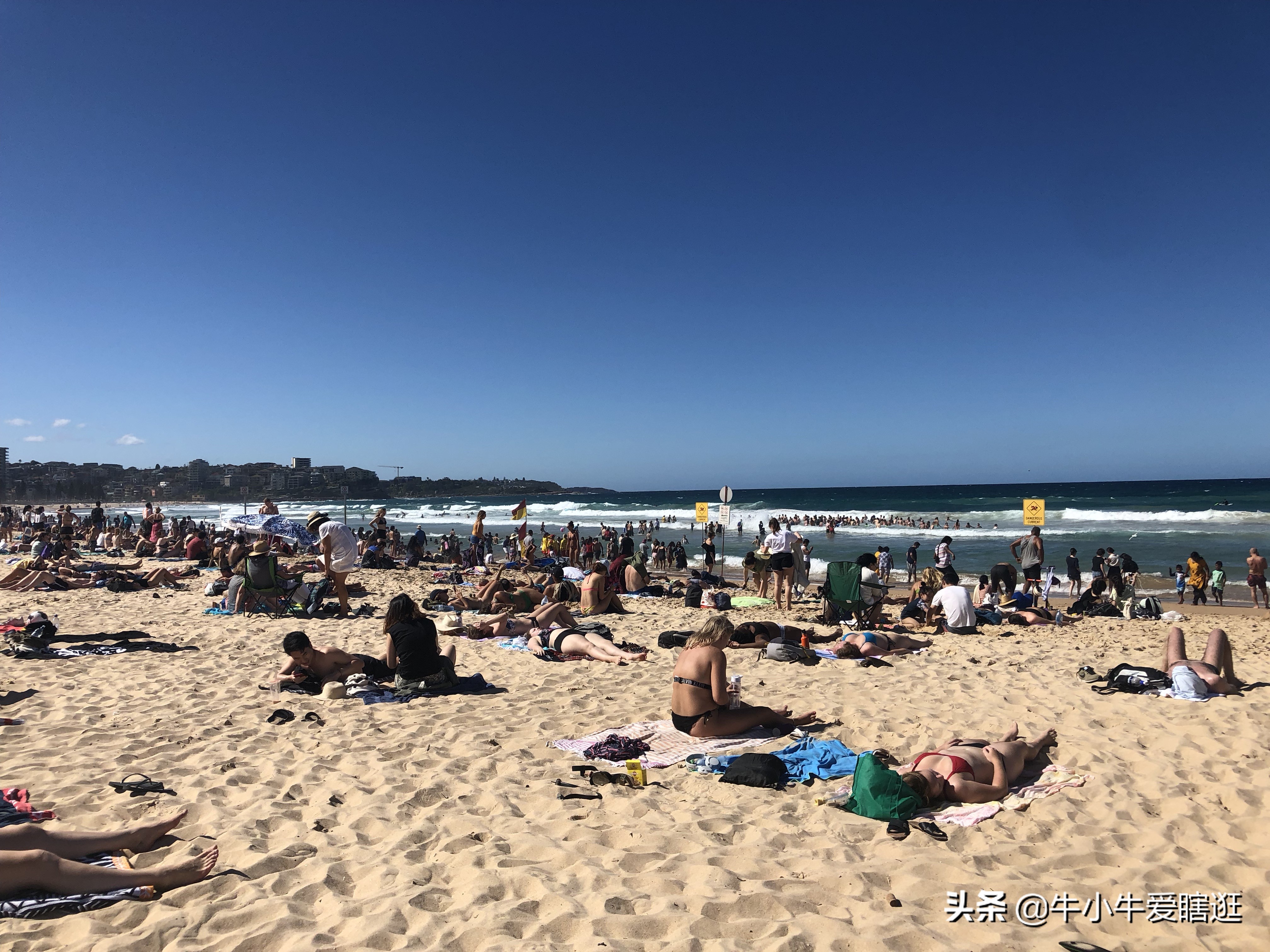 悉尼7日游自由行攻略,澳洲阿德莱德旅游攻略