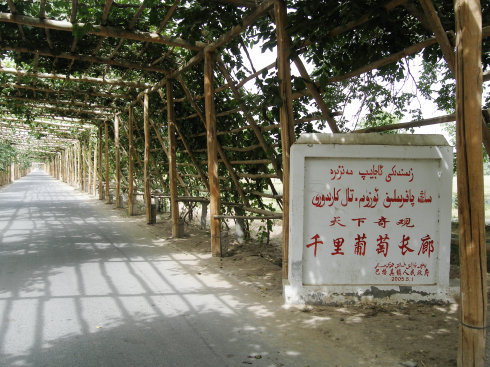 刘巧珍美丽善良痴情隐忍,刘巧玲诗句