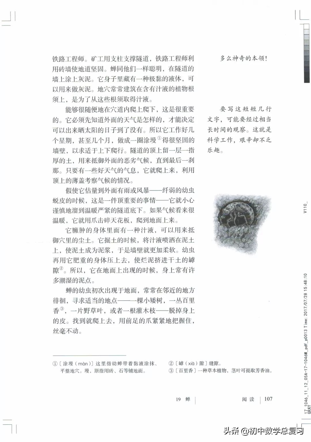 部编版八年级下册语文课本电子版,2021八年级上册语文书电子版人教