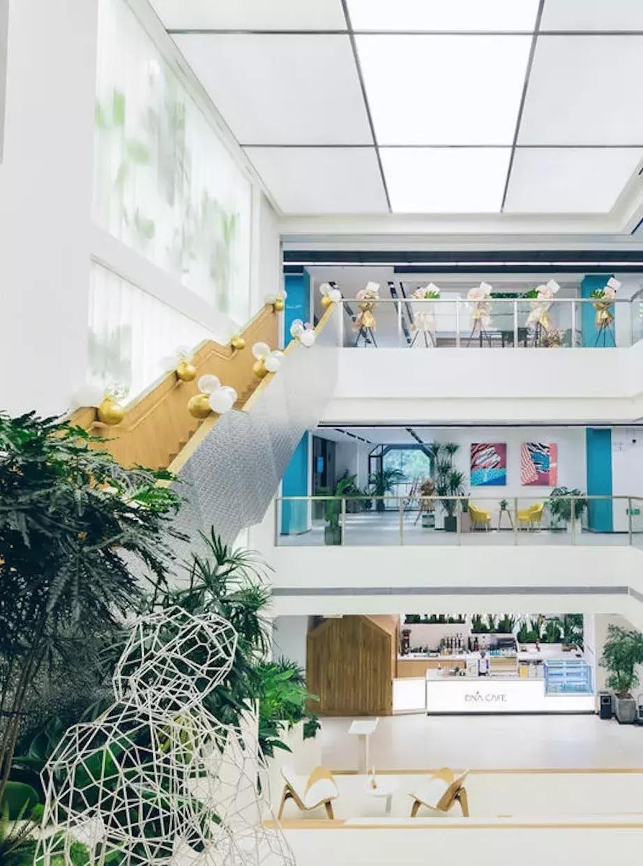 sy齿科美学好吗,sy齿科美学加盟费多少