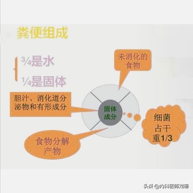体检有必要查大便么,医院检查什么病要检测大便