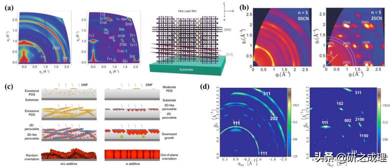 任广禹教授,任广禹教授科学家