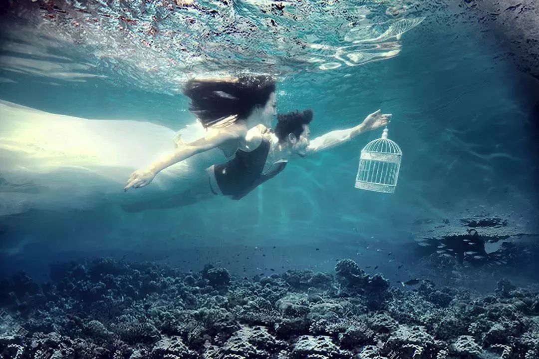 巅峰之夜湖南卫视,湖南卫视巅峰之夜咏春