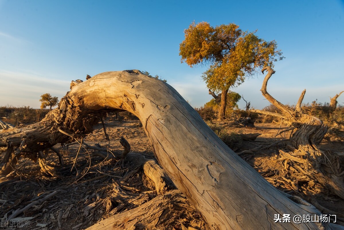 游资大佬炒股养家十大心法,炒股养家心法65页