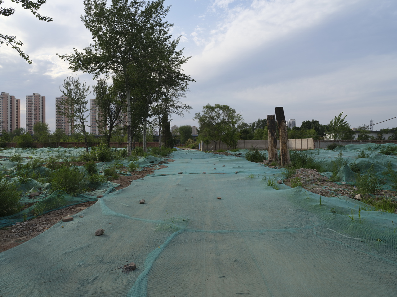 天津动力机厂老照片,天津动力机厂原厂址