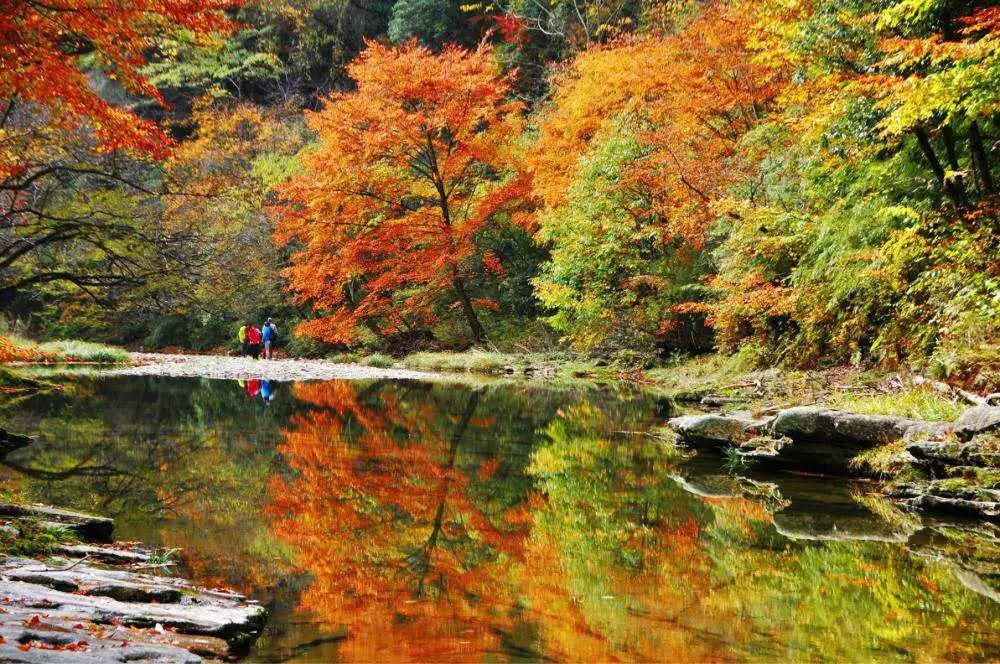 汉中周边旅游景点推荐自驾游,汉中新年到西安旅游全攻略