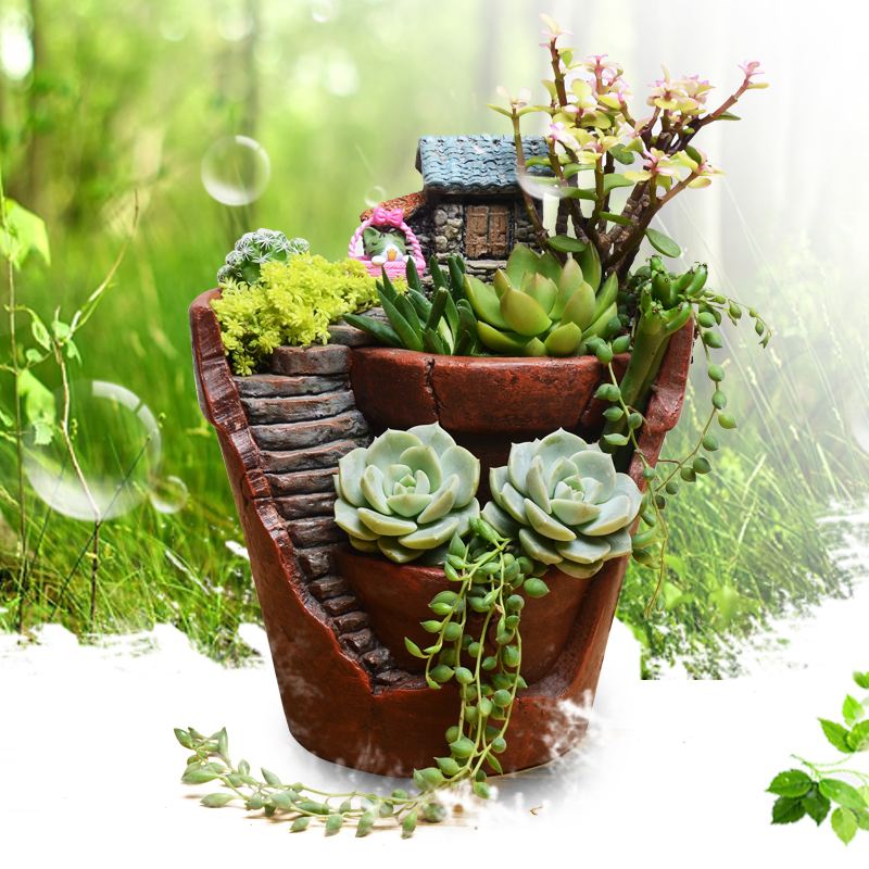 人养花花养人养花养出好心情,适合家养的盆栽花卉大全