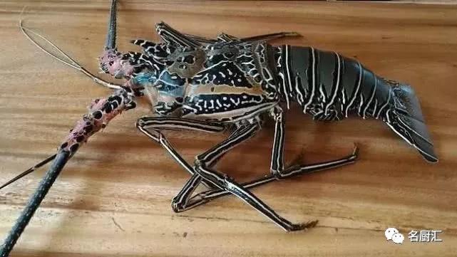 世界高端海鲜品牌,世界顶级海鲜在哪里