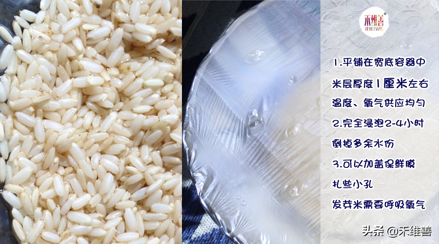 发芽米怎么做,发芽鲜米