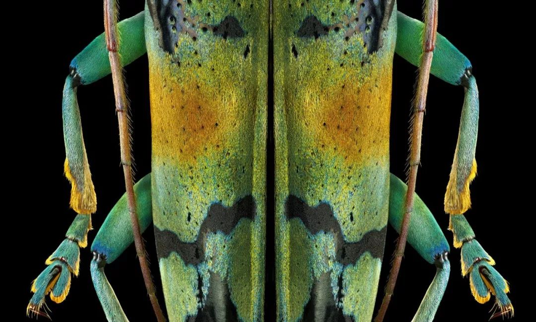 像素低提高像素能改变画质吗,像素和画质的说明