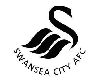 英超历史上最大黑马的足球队,英超历史上最大的黑马