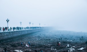 为什么青岛夏天不热,夏天青岛热吗