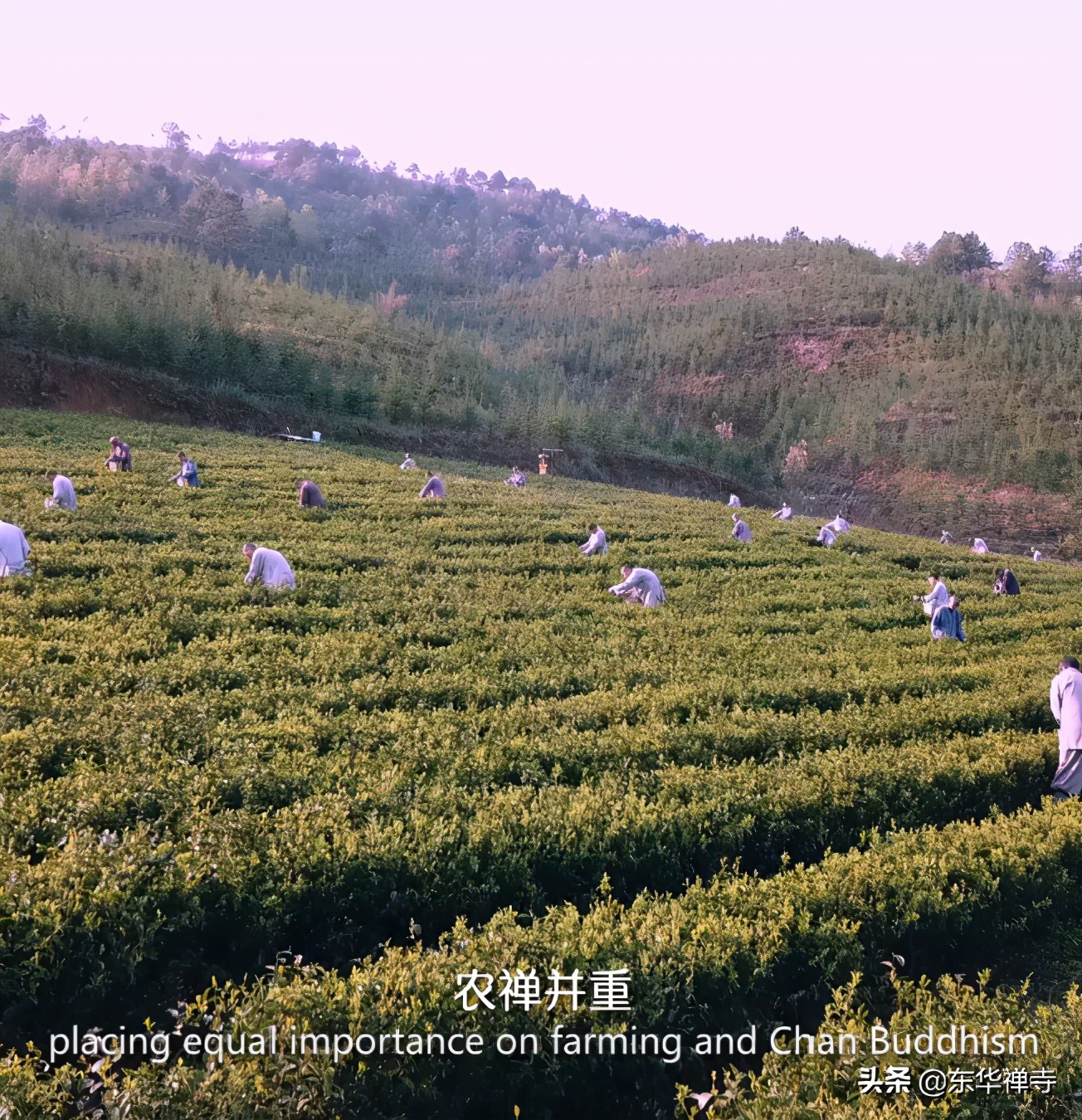 虚空有尽行愿无穷——东华禅寺中英双语宣传片