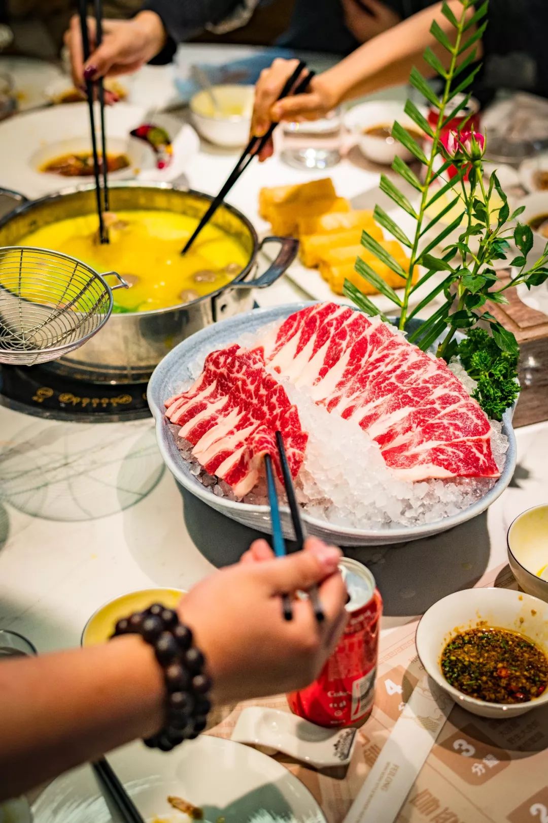 在郑州，吃养颜旺财老虎斑，就来肥隆“食斑节”