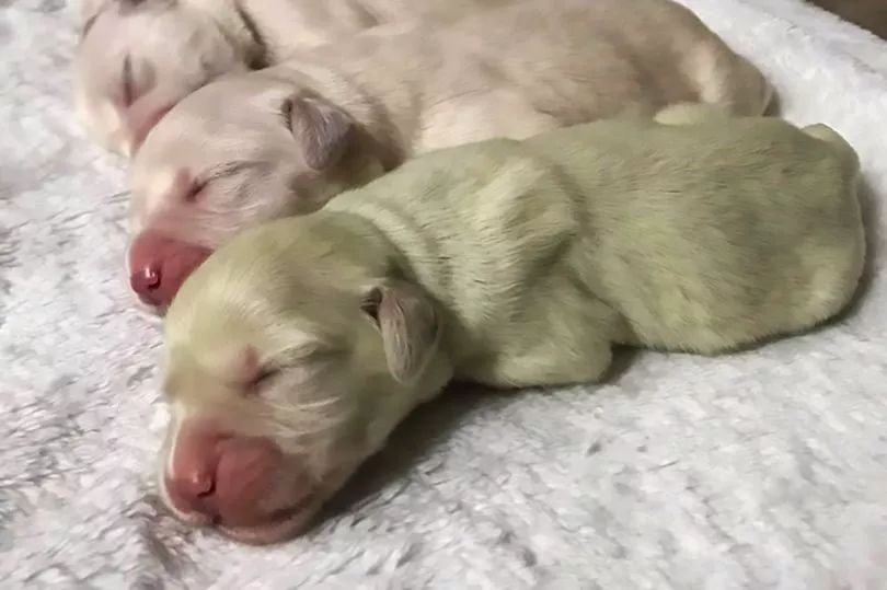 趣观世界｜发财了！在香港花300块买的表，竟卖出28万