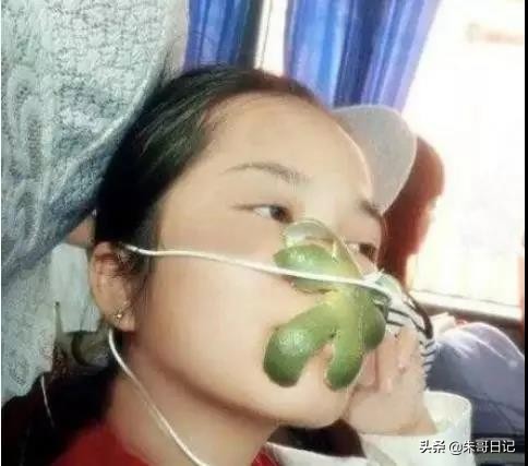 为什么有人晕车不吐,为啥有人晕车有人不晕