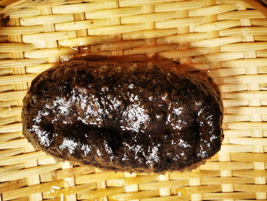 第一次弄海参视频,第一次煮海参