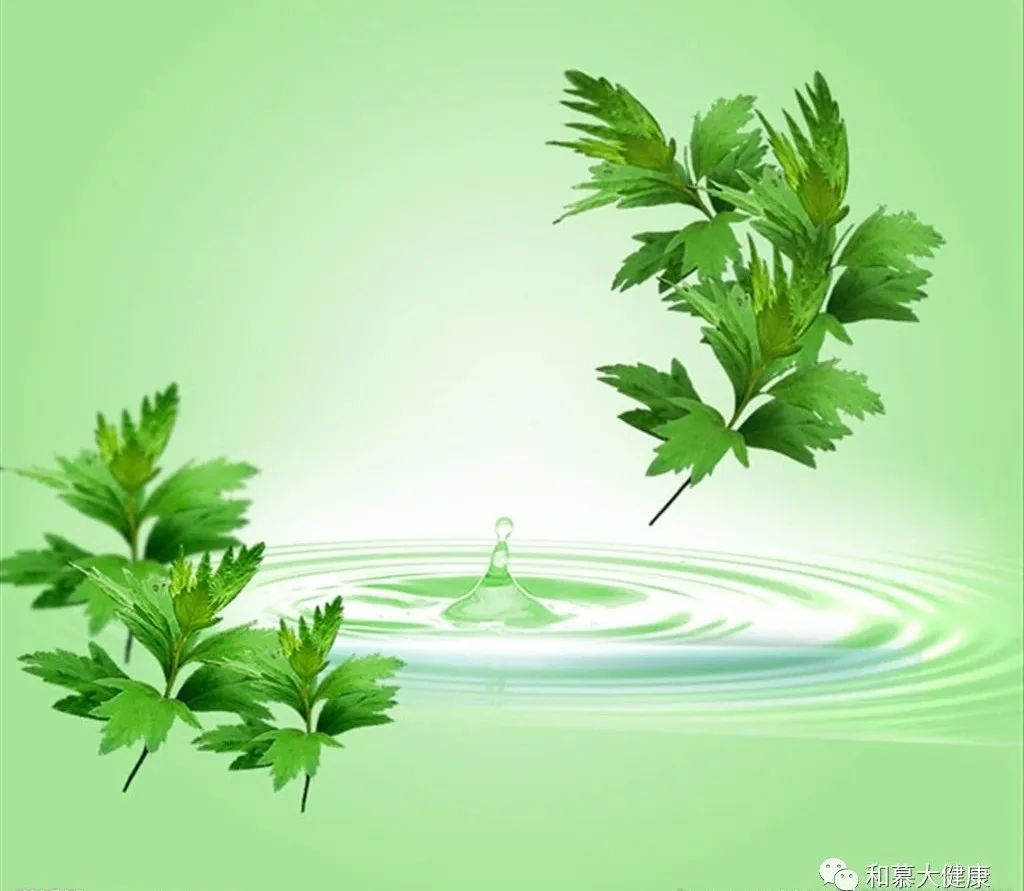 三伏灸三伏,三伏灸跟艾灸有什么不一样