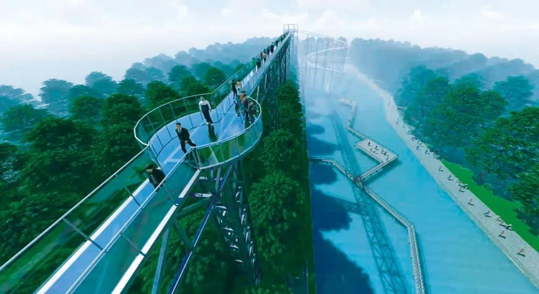 森氧之地，秋游必选！金湖万亩水上森林，真的别有趣味