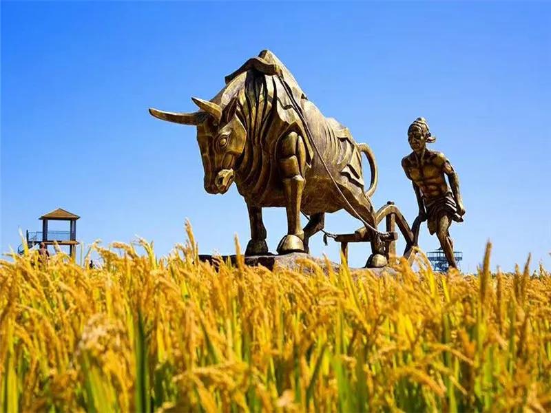 盘锦情书完整版,盘锦情书最新版