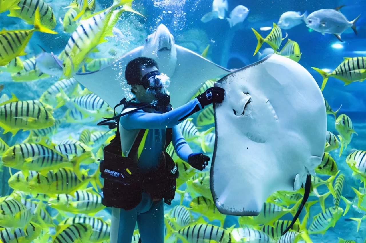 山东文化之旅攻略,山东旅游攻略冬季旅游路线