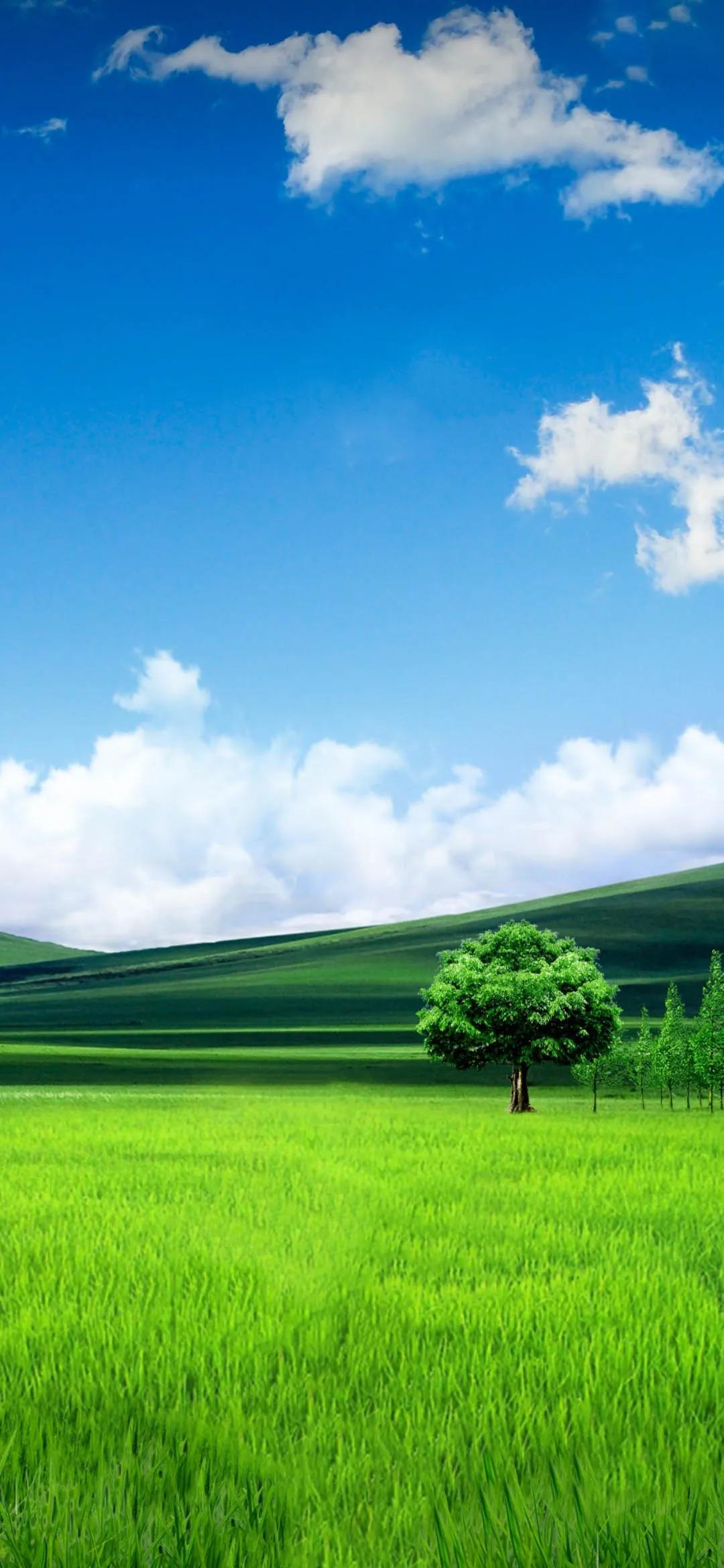 精美手机壁纸真是太美了,清晰到极致的手机壁纸图