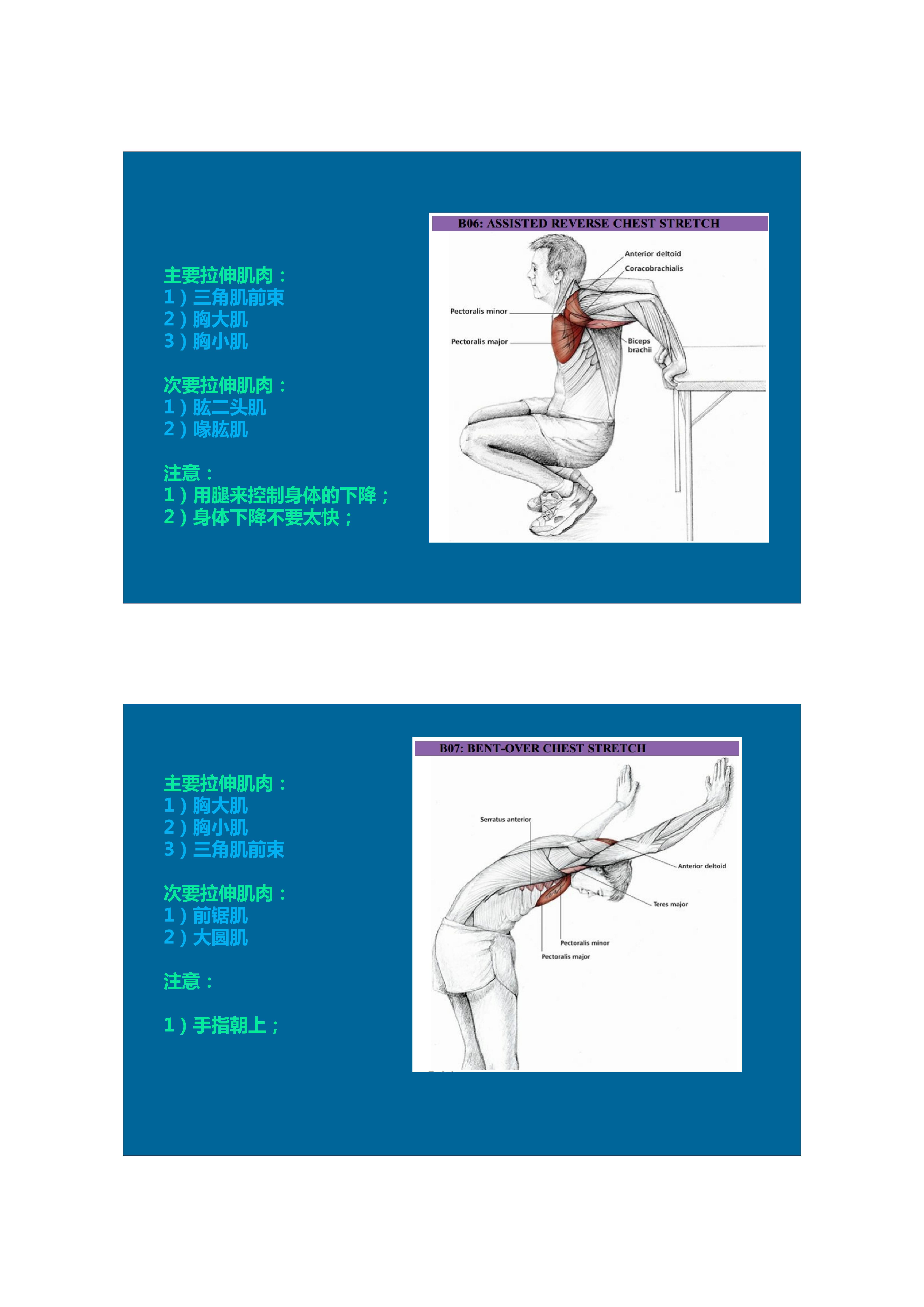 拉伸动态块制作技巧,泰式后背拉伸技巧视频