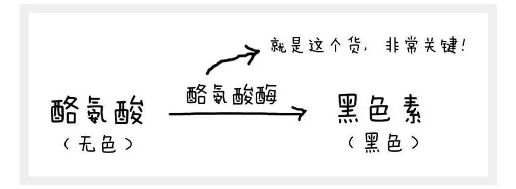 美白377是身体精华吗,美白377真的有效吗