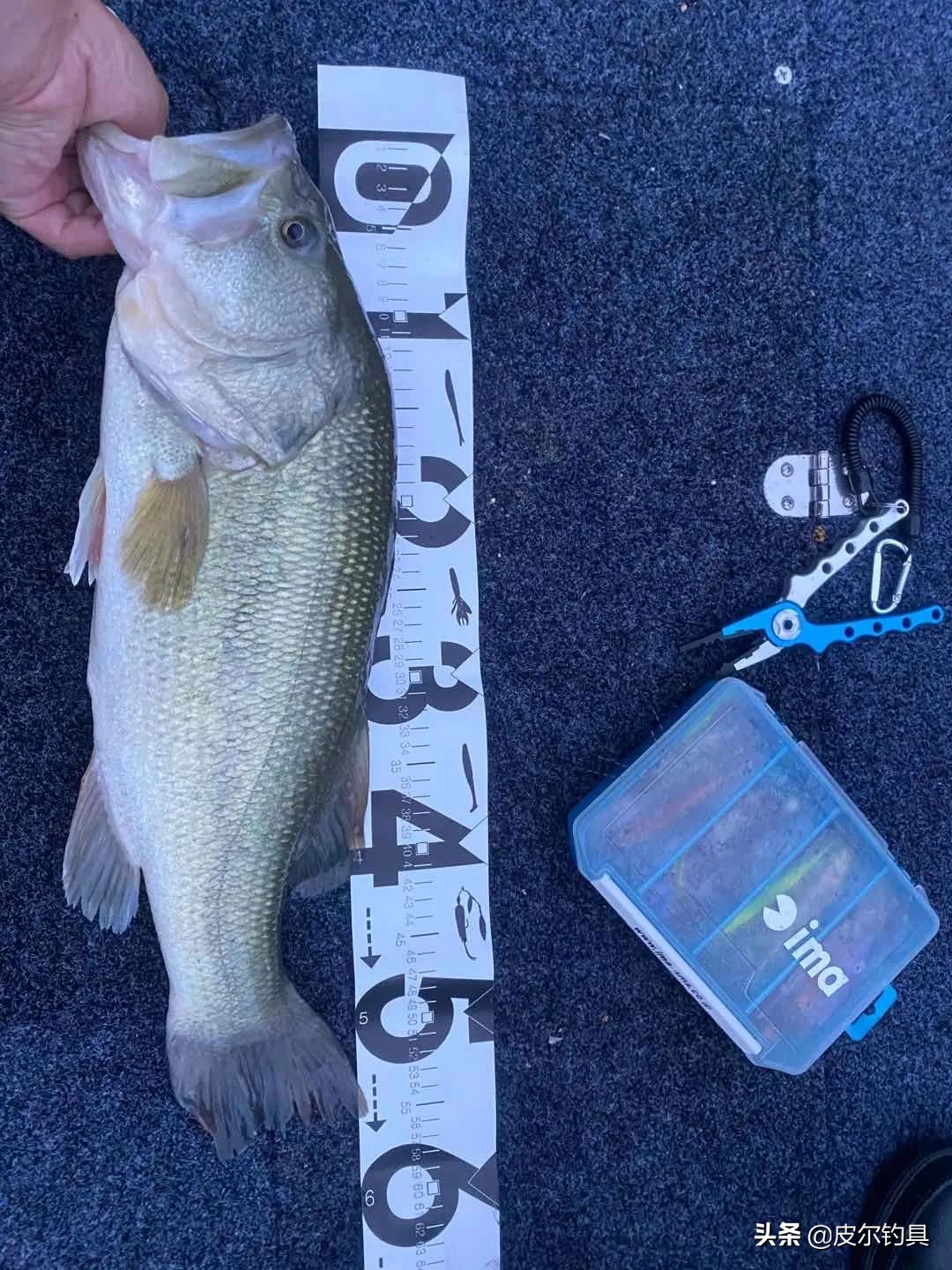 贝克力路亚大师赛总决赛视频,贝克力路亚大师赛2019排名