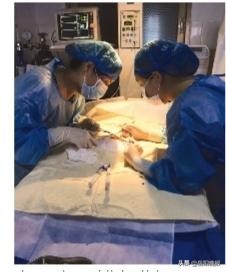 岳阳市妇幼保健院：为全市妇女儿童的健康保驾护航