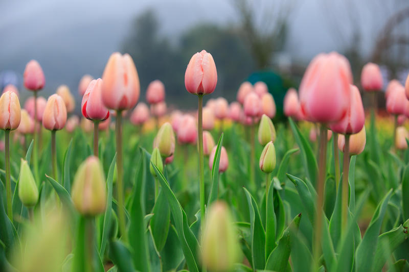 南昌月亮湾一日游最佳攻略,南昌月亮湾旅游攻略和自驾游攻略
