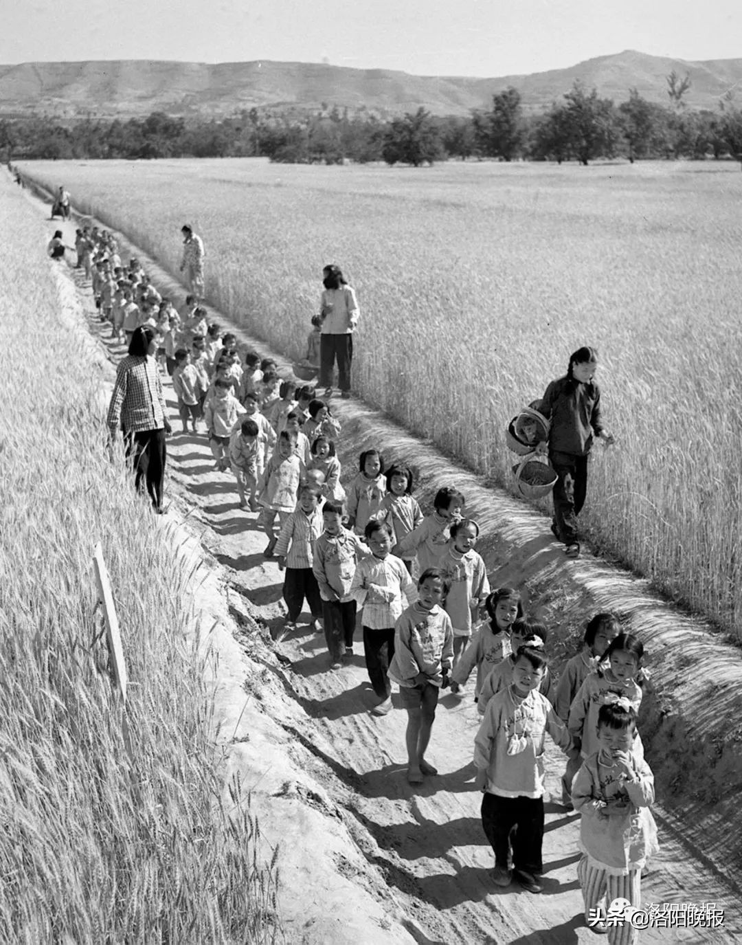 一分钟看河南洛阳,一日看遍洛阳