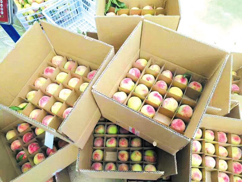 湖北广水电商,广水市电商