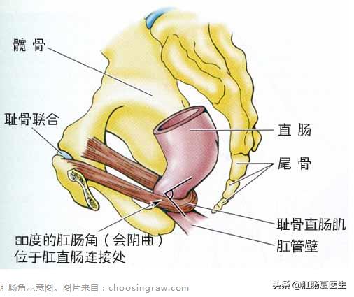 大便不顺畅的原因及调理方法,大便不顺畅有什么好方法
