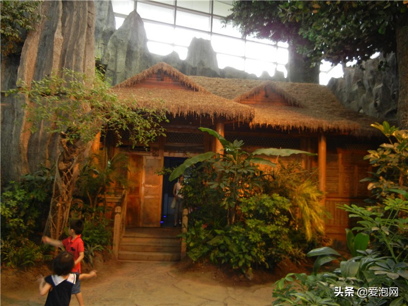 上海天文馆和科技馆哪个更值得去,上海自然博物馆和科技馆哪个好玩