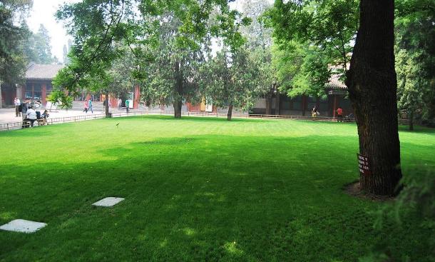 草坪施肥方法视频教程,草坪正确施肥方法