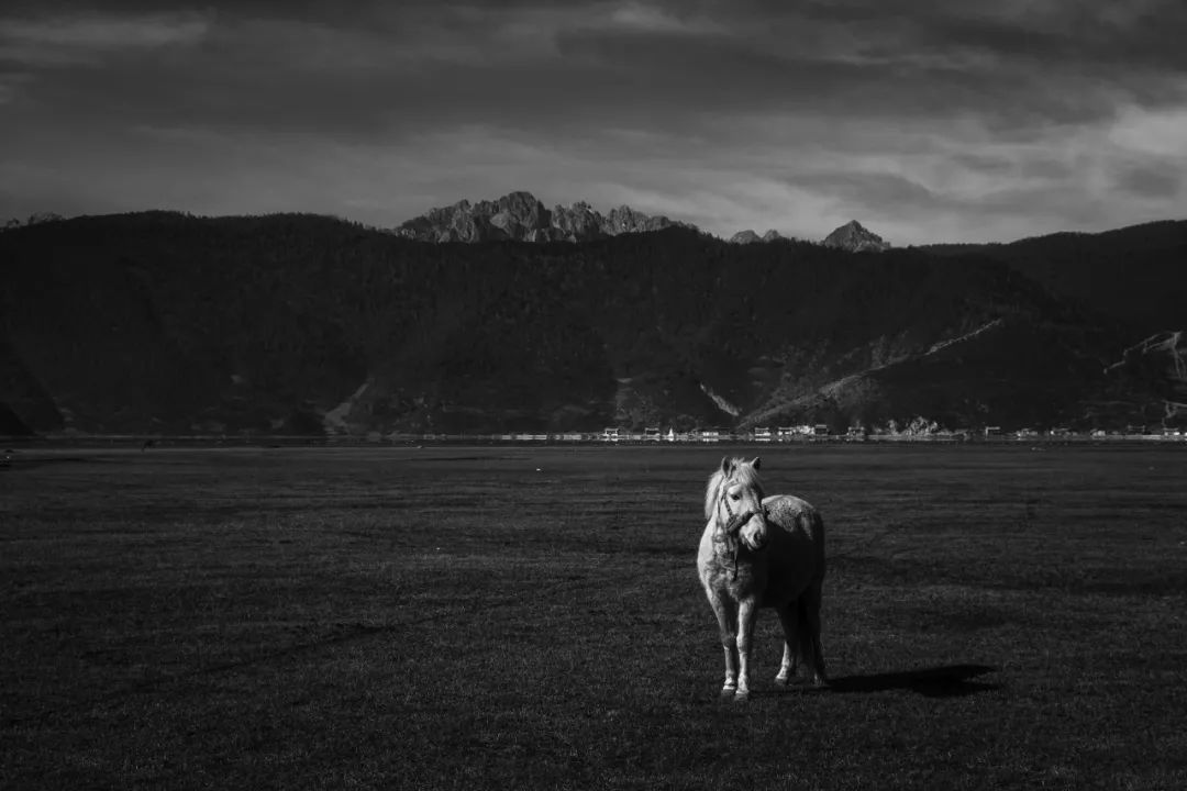色彩调色技法与方法,色彩调色技巧与方法笔记
