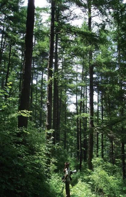 阜平天生桥，鬼斧神工，天地造化！